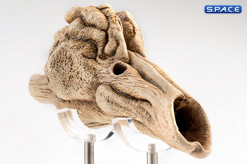 1:1 Velociraptor Resonating Chamber Life-Size Replica (Jurassic Park III)