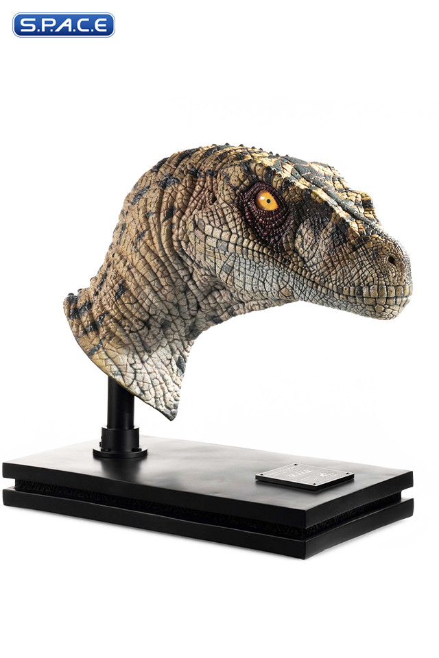 1:1 Female Velociraptor Life-Size Bust (Jurassic Park III)