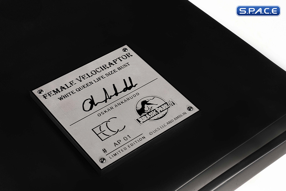 1:1 Female Velociraptor Life-Size Bust (Jurassic Park III)