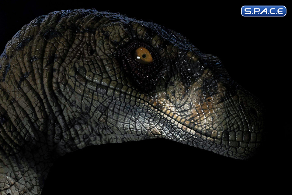 1:1 Female Velociraptor Life-Size Bust (Jurassic Park III)