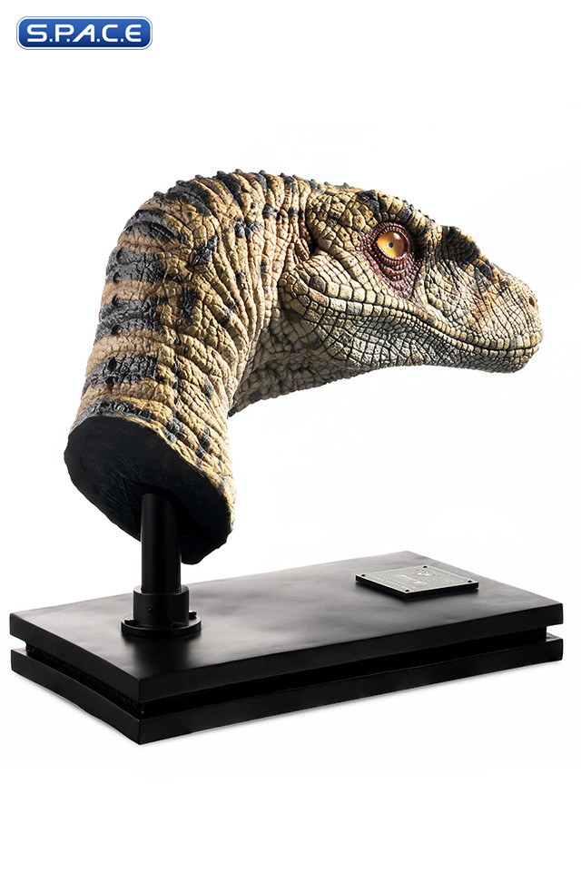 1:1 Female Velociraptor Life-Size Bust (Jurassic Park III)