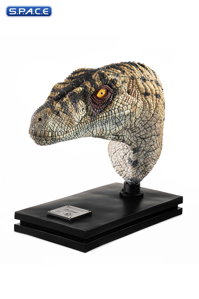 1:1 Female Velociraptor Life-Size Bust (Jurassic Park III)