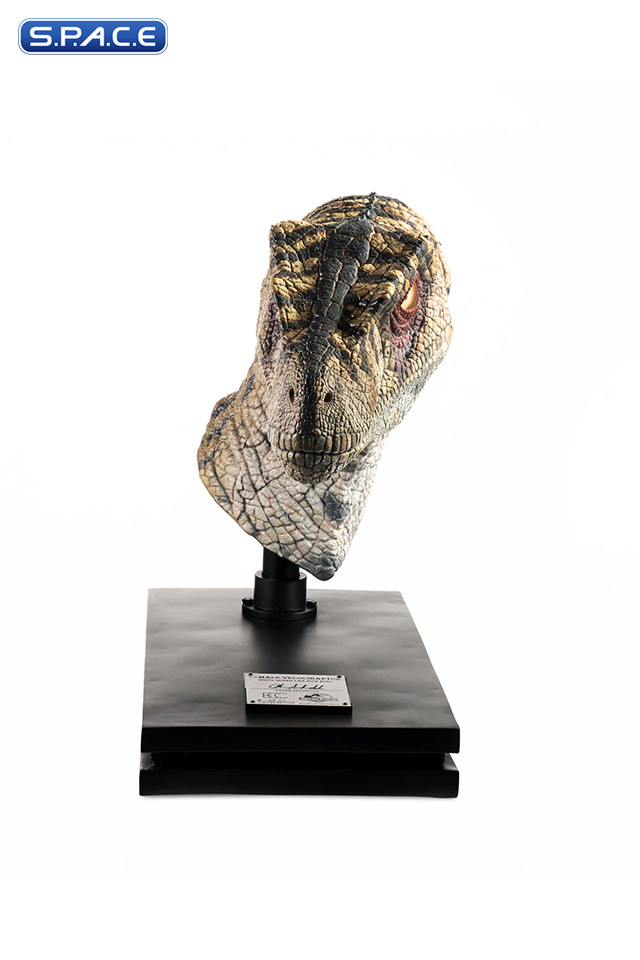 1:1 Female Velociraptor Life-Size Bust (Jurassic Park III)