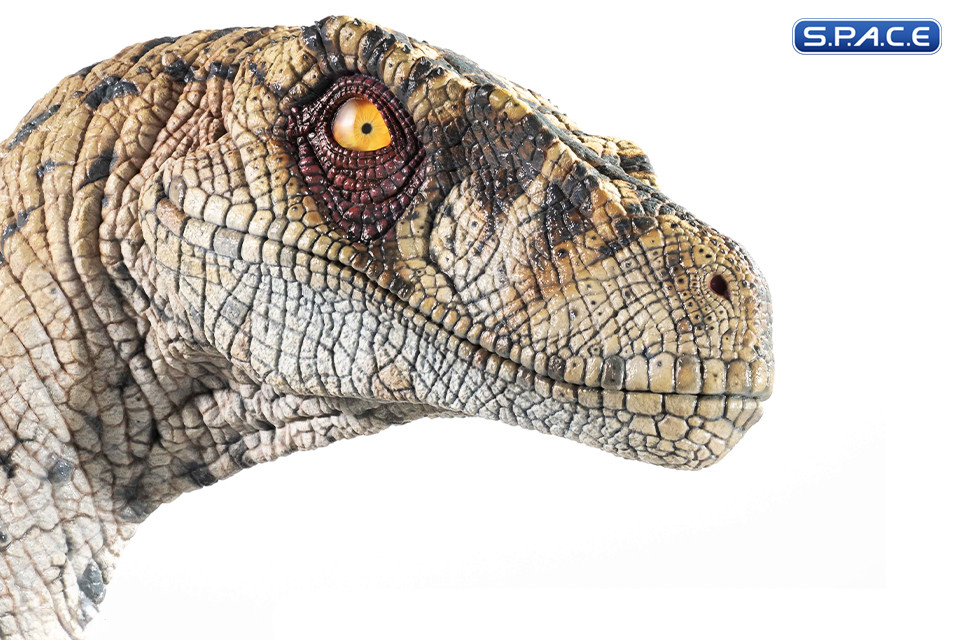 1:1 Female Velociraptor Life-Size Bust (Jurassic Park III)