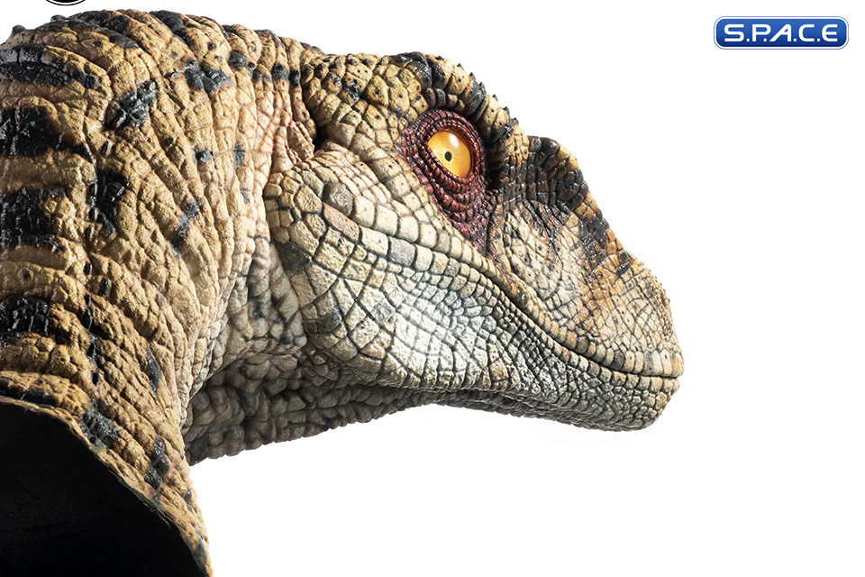 1:1 Female Velociraptor Life-Size Bust (Jurassic Park III)