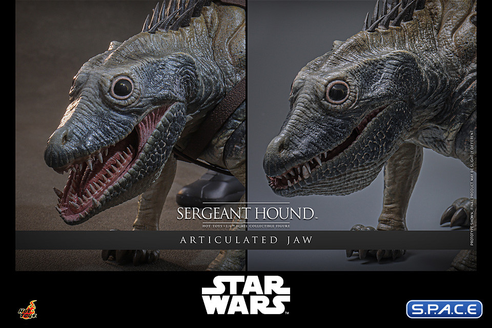 1/6 Scale Sergeant Hound TV Masterpiece TMS167 (Star Wars - The Clone Wars)