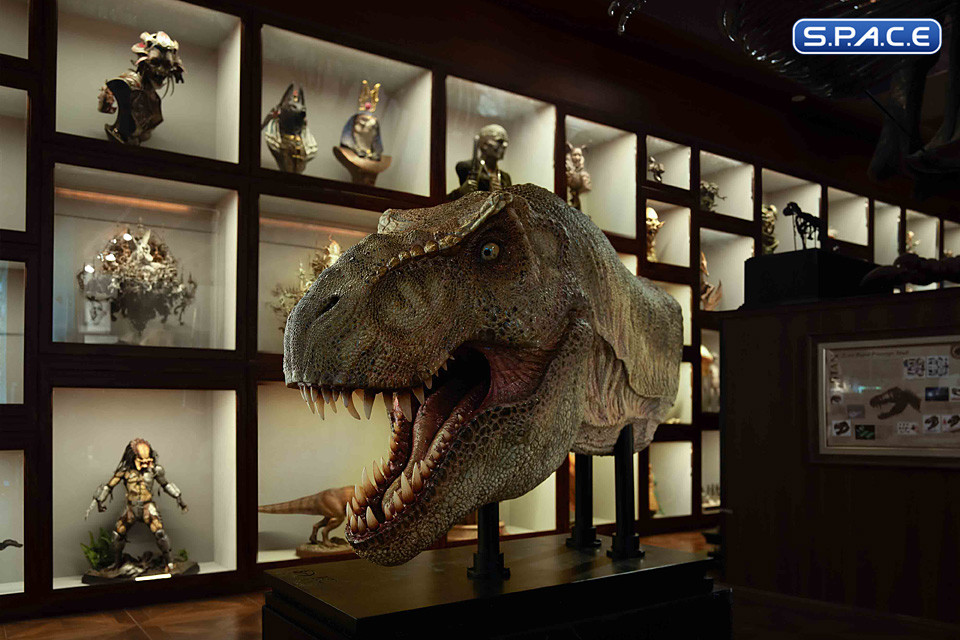 1/2 Scale T-Rex Head Replica (Jurassic Park)