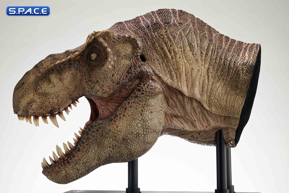 1/2 Scale T-Rex Head Replica (Jurassic Park)