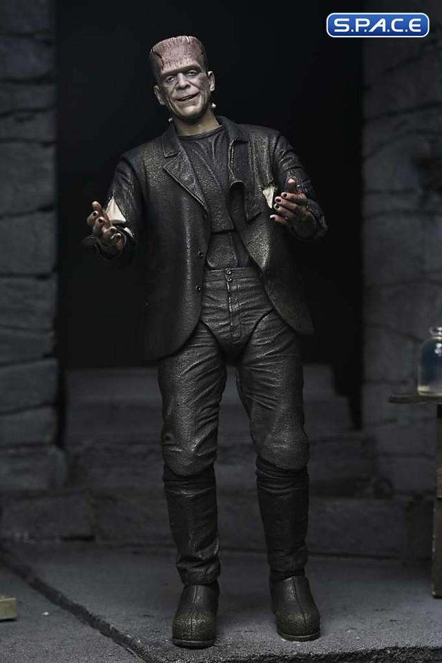 The Monster and his Mate 2-Pack (Bride of Frankenstein)