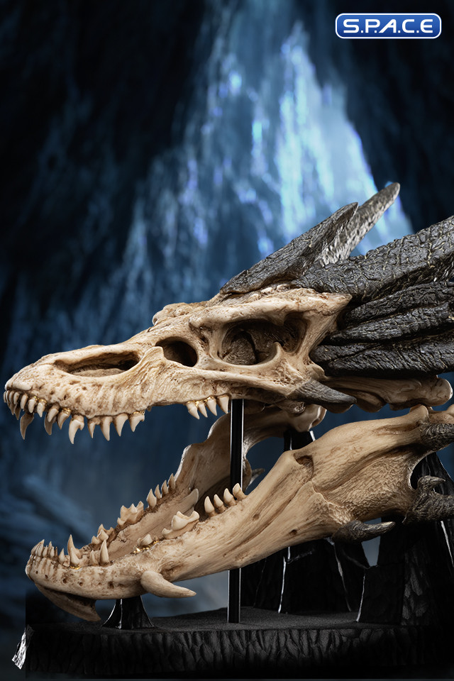Skull of Smaug (The Hobbit)