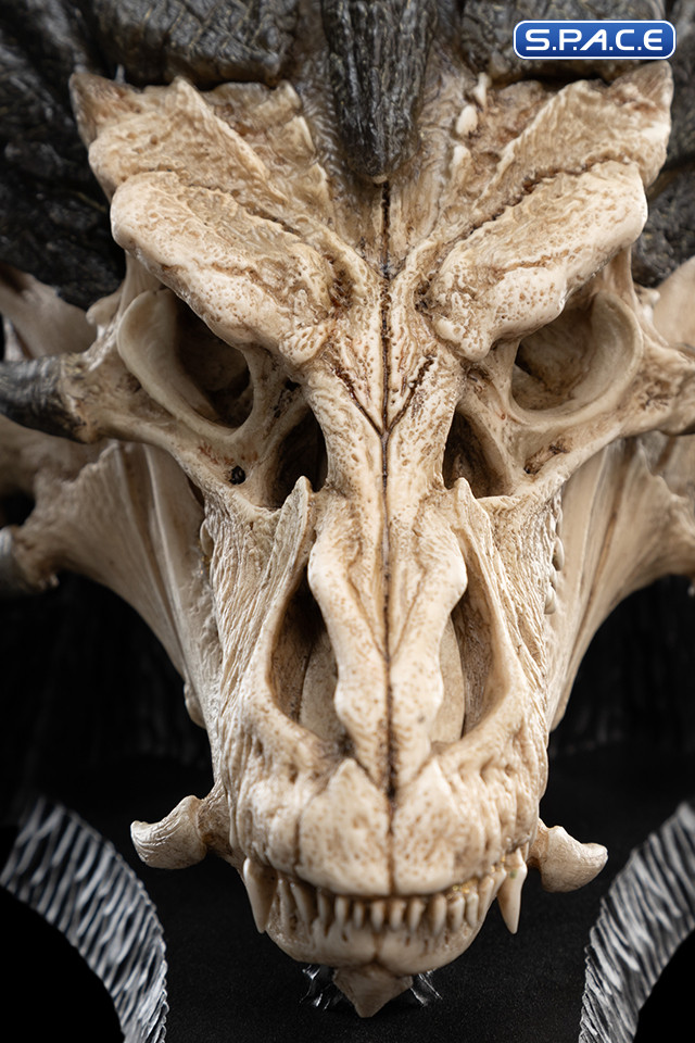 Skull of Smaug (The Hobbit)