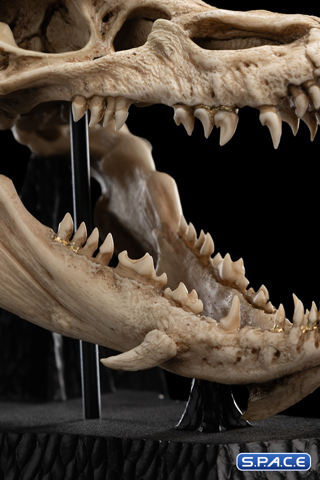 Skull of Smaug (The Hobbit)