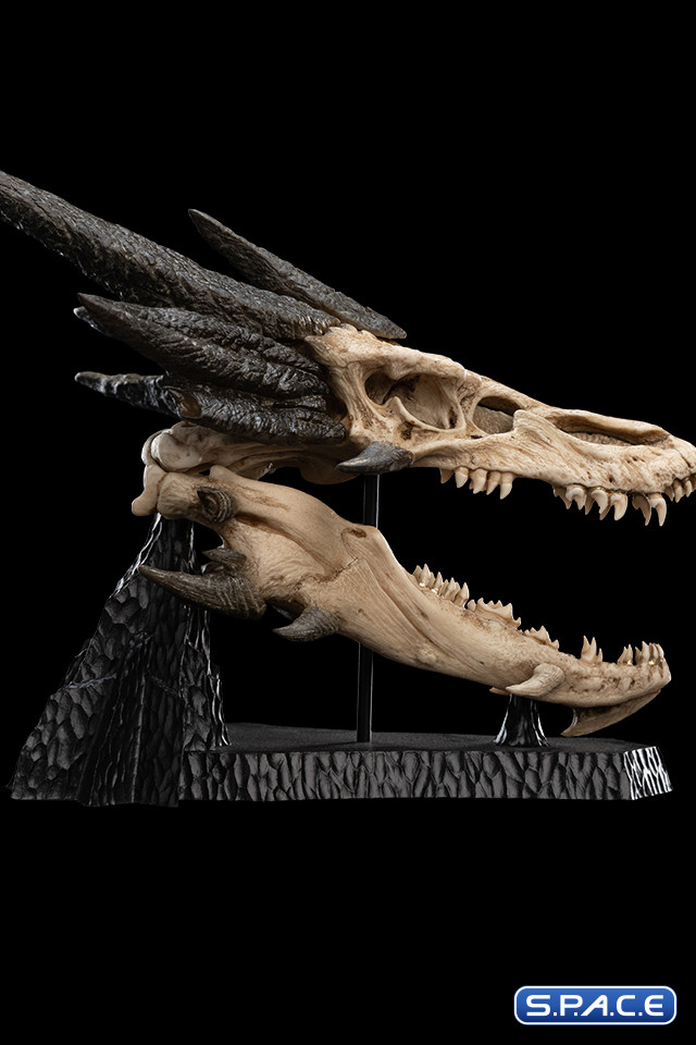Skull of Smaug (The Hobbit)