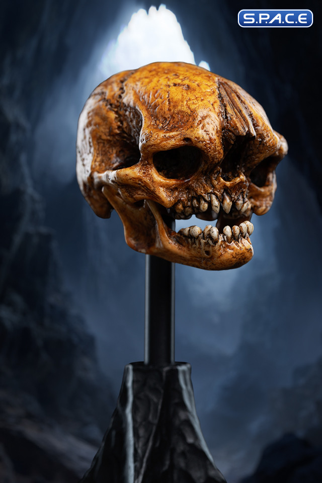 Skull of a Misty Mountain Goblin (The Hobbit)