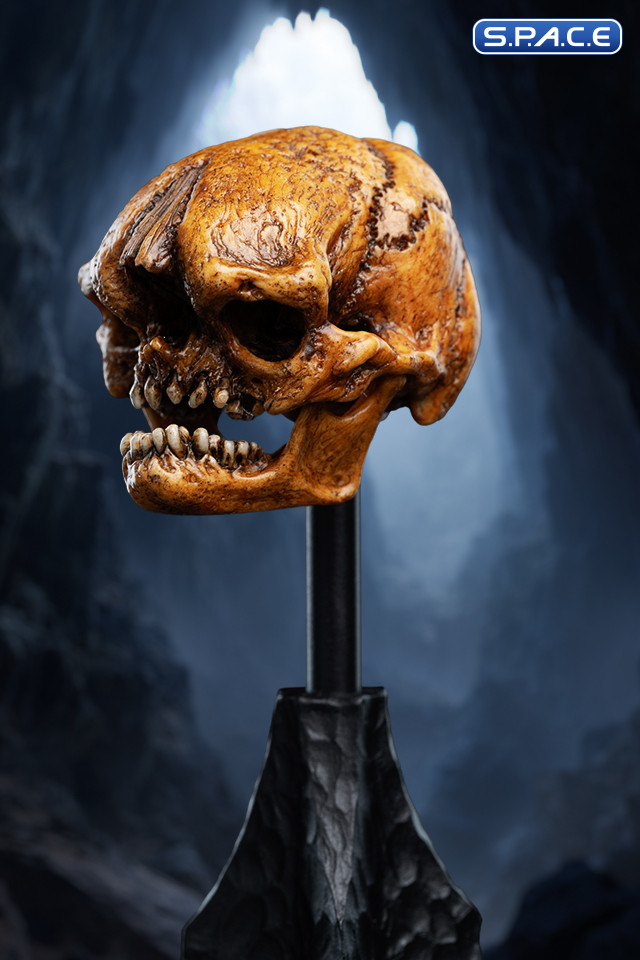 Skull of a Misty Mountain Goblin (The Hobbit)
