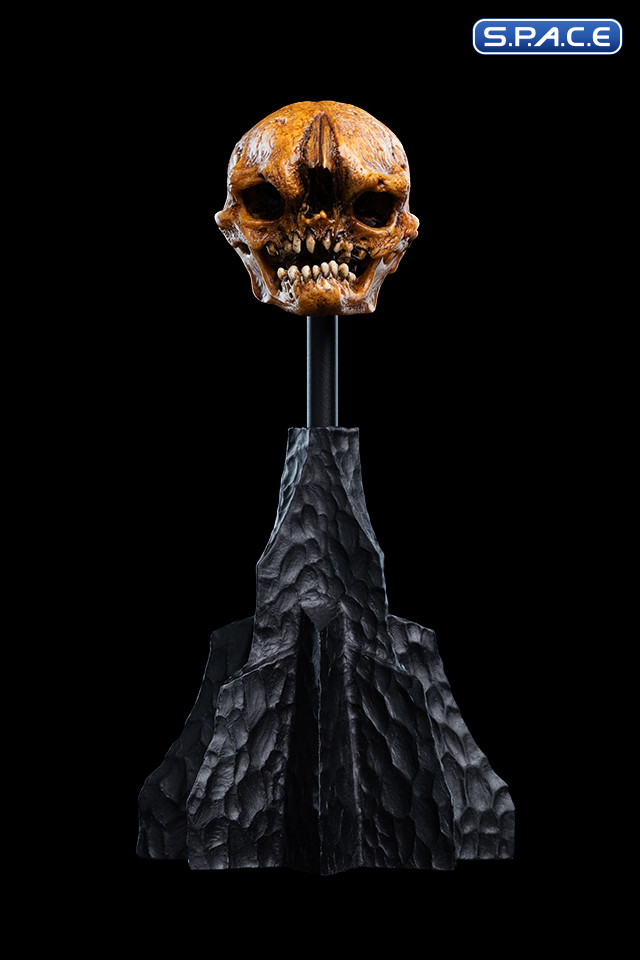 Skull of a Misty Mountain Goblin (The Hobbit)