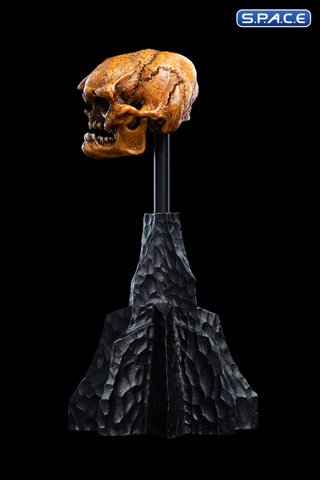 Skull of a Misty Mountain Goblin (The Hobbit)