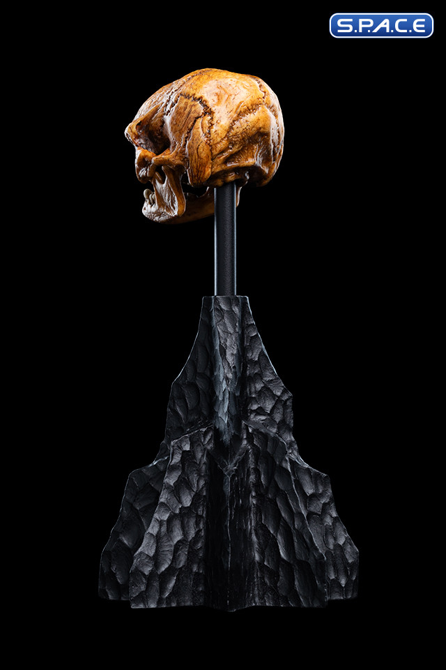 Skull of a Misty Mountain Goblin (The Hobbit)