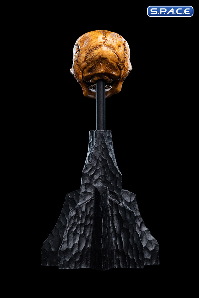 Skull of a Misty Mountain Goblin (The Hobbit)