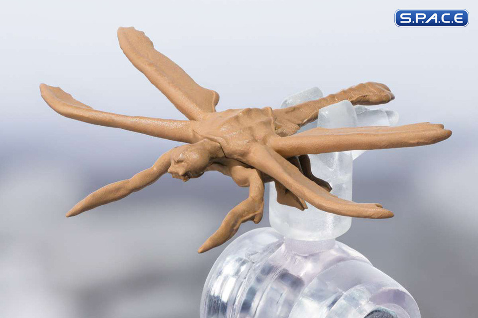 S.H.MonsterArts Megaguirus Evolution Set (Godzilla vs. Megaguirus)