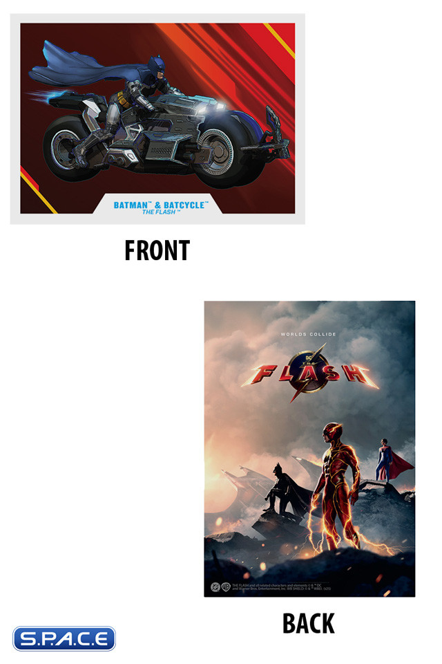 Batman & Batcycle from The Flash (DC Multiverse)