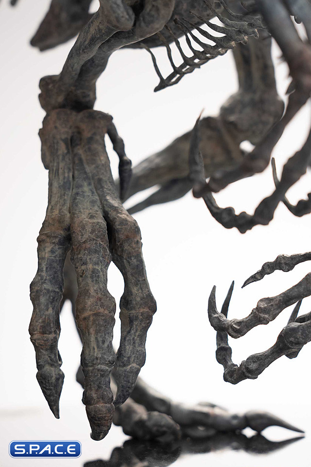 1/12 Scale Indominus Rex Skeleton Bronze Statue (Jurassic World)