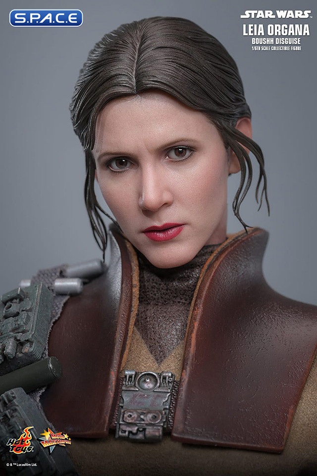 1/6 Scale Leia Organa Boushh Disguise Movie Masterpiece MMS854 (Star Wars)