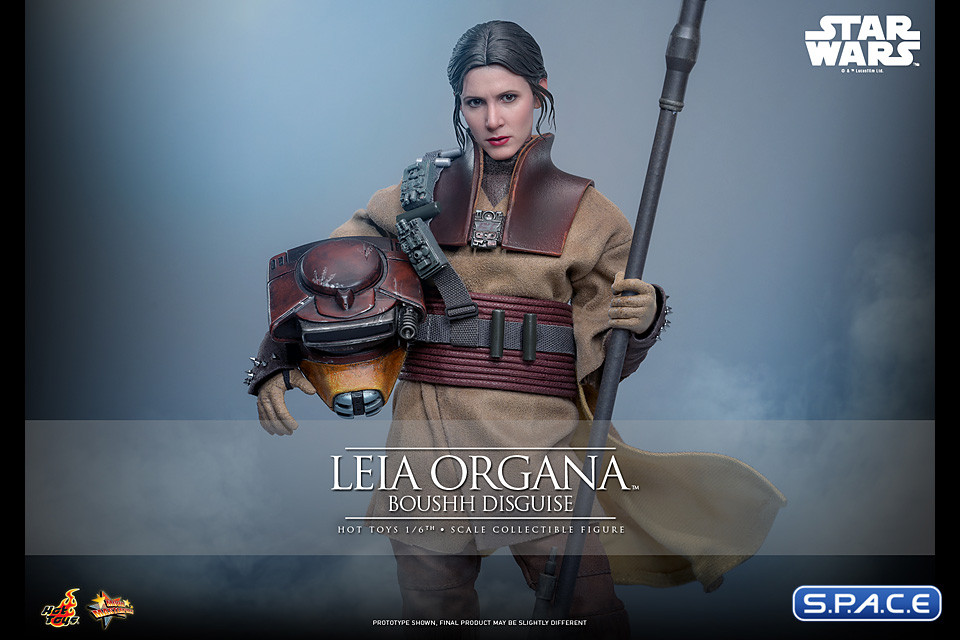 1/6 Scale Leia Organa Boushh Disguise Movie Masterpiece MMS854 (Star Wars)
