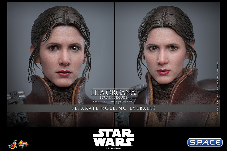1/6 Scale Leia Organa Boushh Disguise Movie Masterpiece MMS854 (Star Wars)