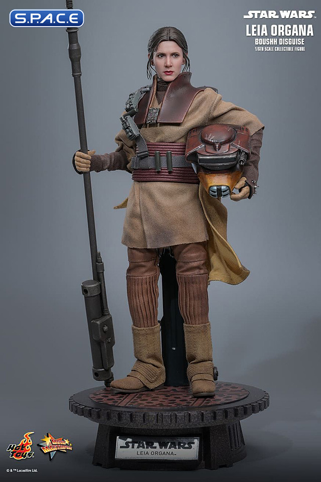 1/6 Scale Leia Organa Boushh Disguise Movie Masterpiece MMS854 (Star Wars)