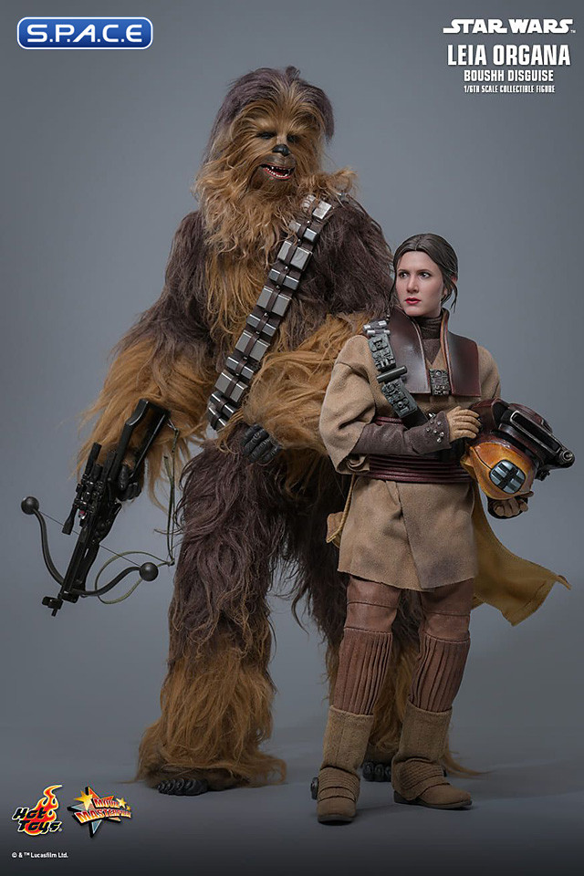1/6 Scale Leia Organa Boushh Disguise Movie Masterpiece MMS854 (Star Wars)