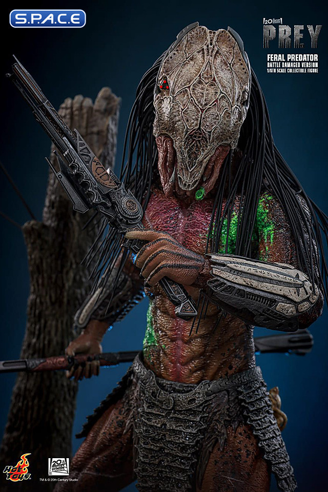 1/6 Scale Feral Predator Battle Damaged Version TV Masterpiece TMS173 (Prey)