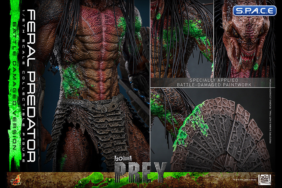 1/6 Scale Feral Predator Battle Damaged Version TV Masterpiece TMS173 (Prey)
