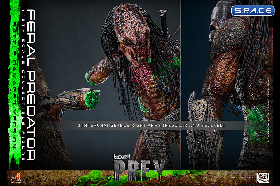 1/6 Scale Feral Predator Battle Damaged Version TV Masterpiece TMS173 (Prey)