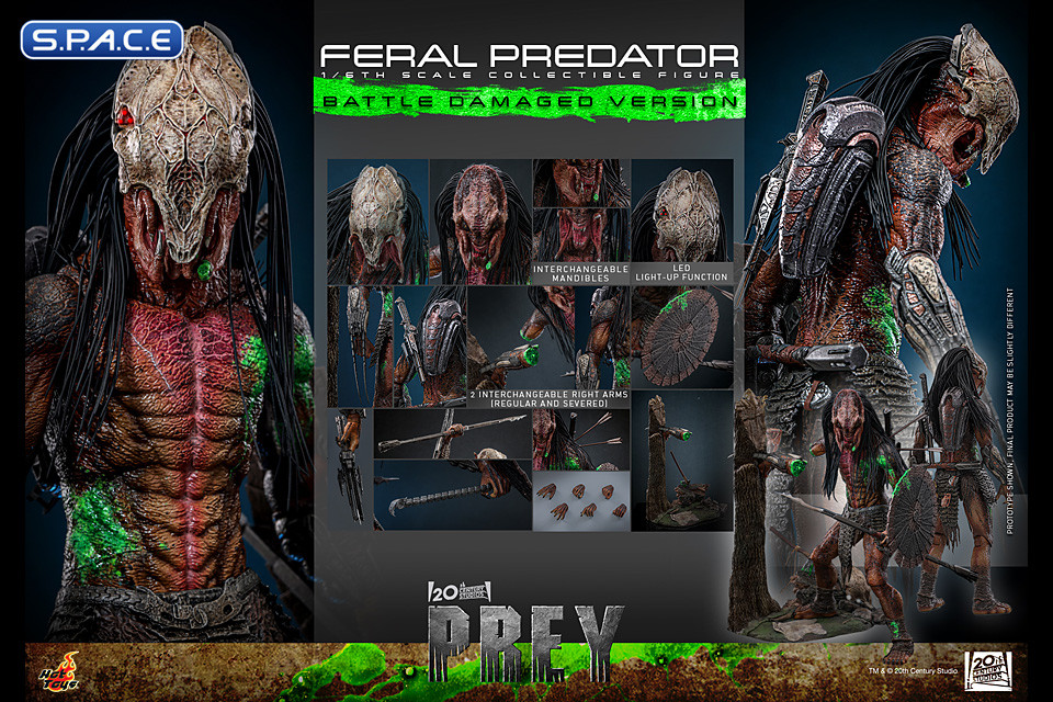 1/6 Scale Feral Predator Battle Damaged Version TV Masterpiece TMS173 (Prey)