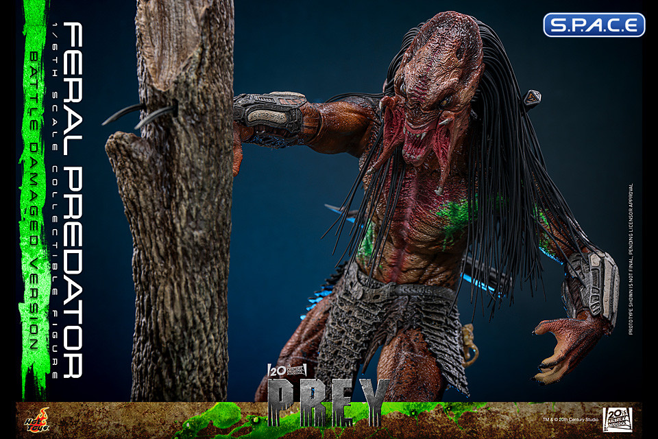 1/6 Scale Feral Predator Battle Damaged Version TV Masterpiece TMS173 (Prey)