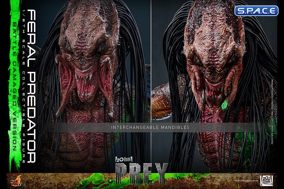 1/6 Scale Feral Predator Battle Damaged Version TV Masterpiece TMS173 (Prey)