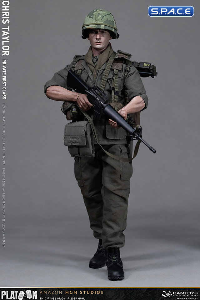 1/6 Scale Chris Taylor (Platoon)