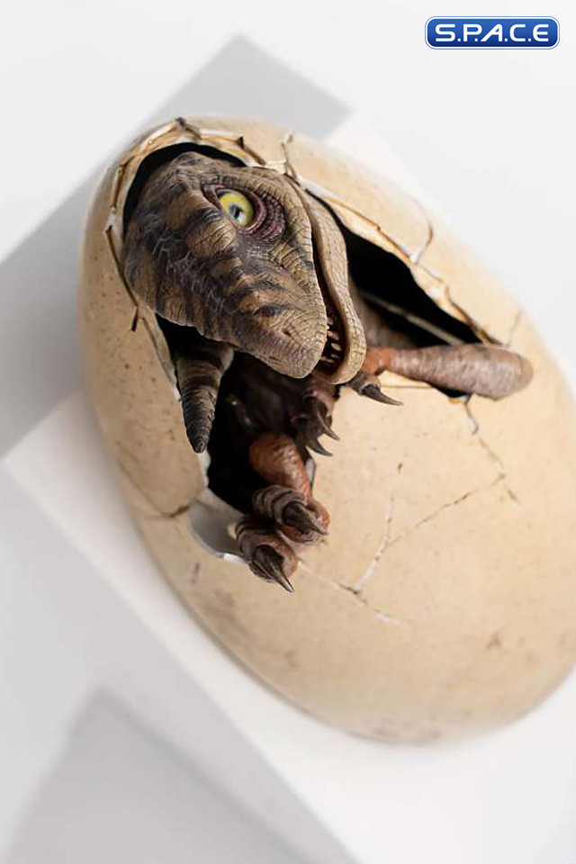 White Queen Egg Hatching Statue (Jurassic Park III)