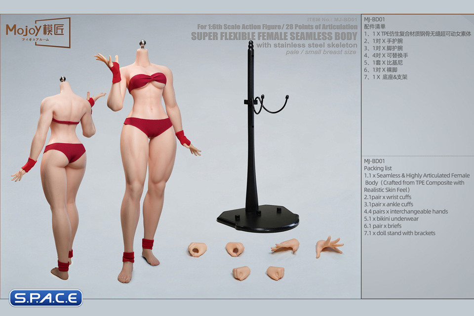 1/6 Scale Seamless Female pale Body BD01 - small breast size