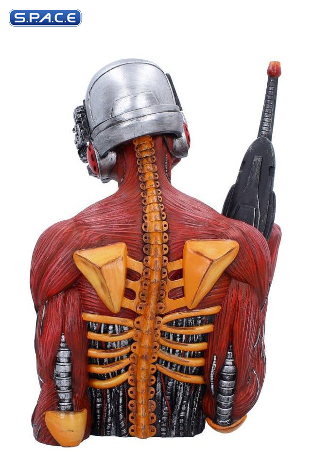 Somewhere in Time Bust (Iron Maiden)