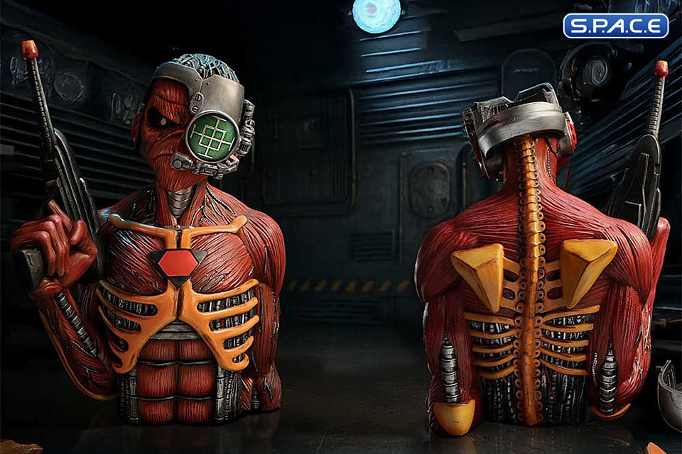 Somewhere in Time Bust (Iron Maiden)