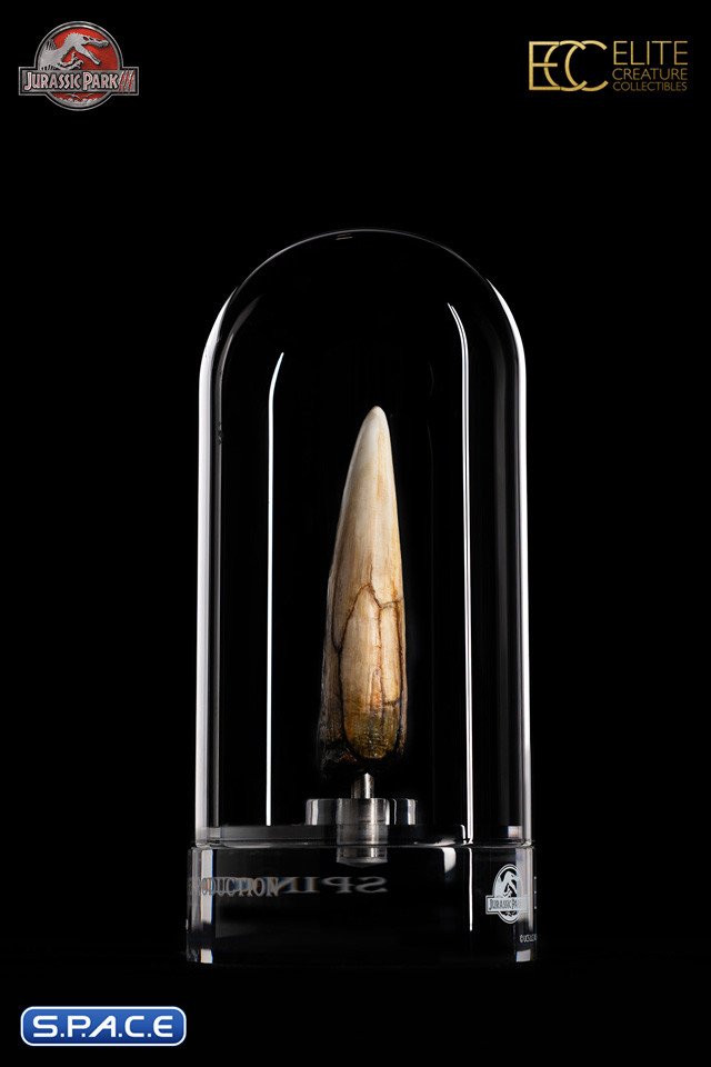 1:1 Spinosaurus Tooth Life-Size Replica (Jurassic Park III)