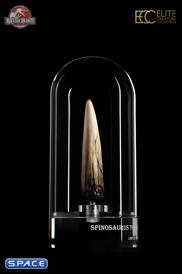 1:1 Spinosaurus Tooth Life-Size Replica (Jurassic Park III)