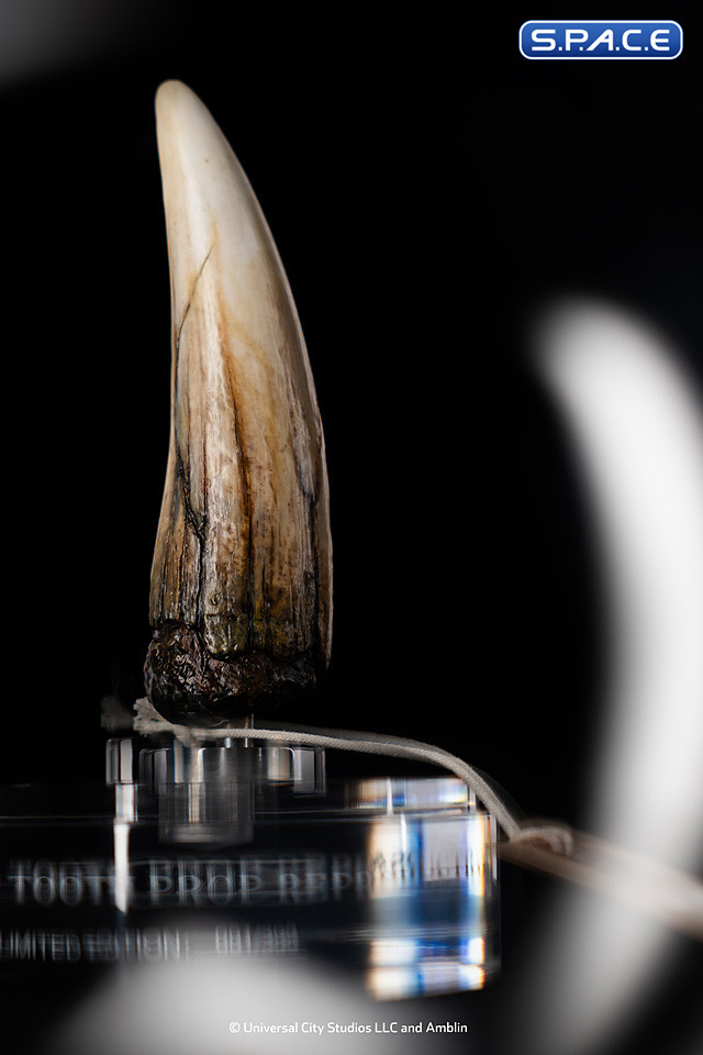 1:1 Spinosaurus Tooth Life-Size Replica (Jurassic Park III)