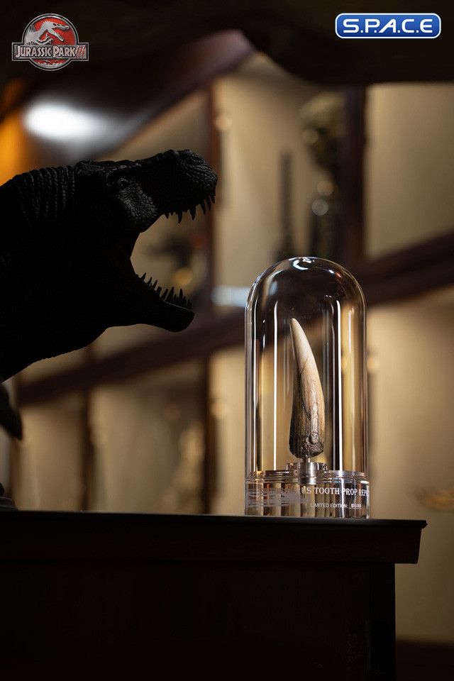 1:1 Spinosaurus Tooth Life-Size Replica (Jurassic Park III)