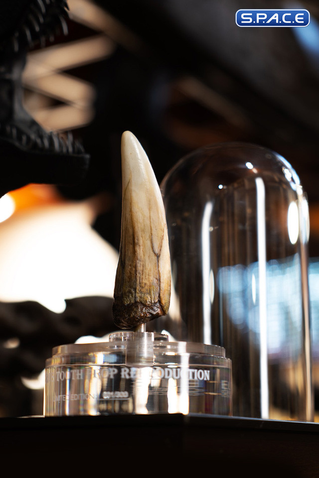 1:1 Spinosaurus Tooth Life-Size Replica (Jurassic Park III)