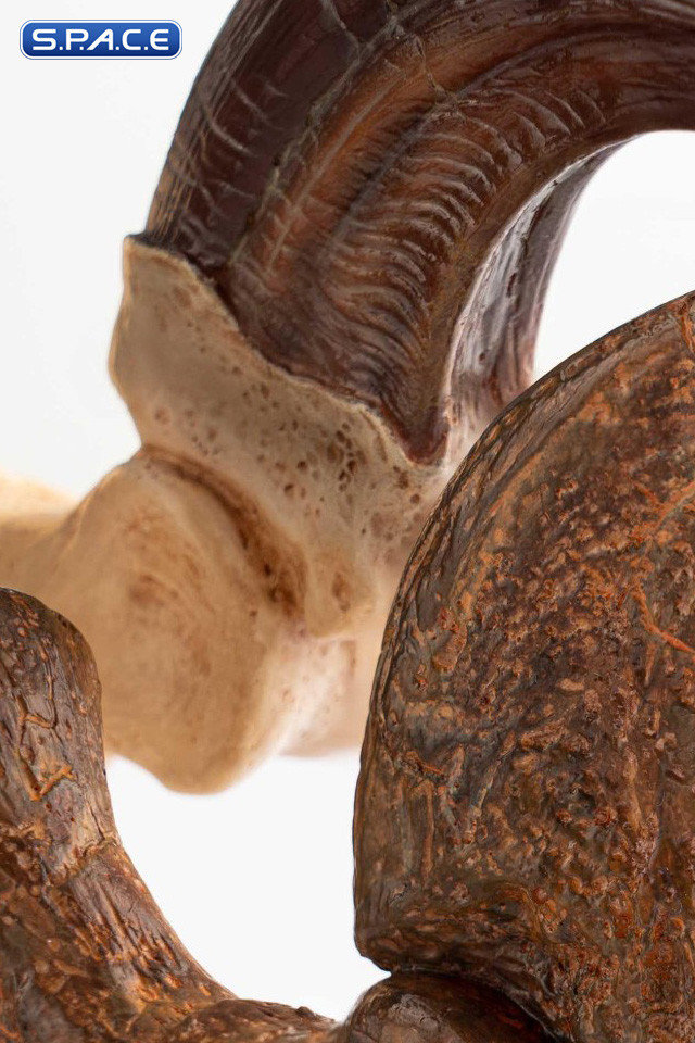 1:1 Velociraptor Foot Claw & Fossil Claw Life-Size Replica Set (Jurassic Park)