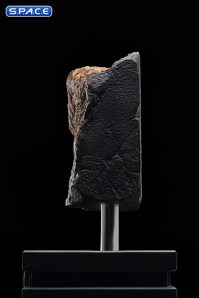 1:1 Male Velociraptor Eye Life-Size Replica (The Lost World: Jurassic Park)