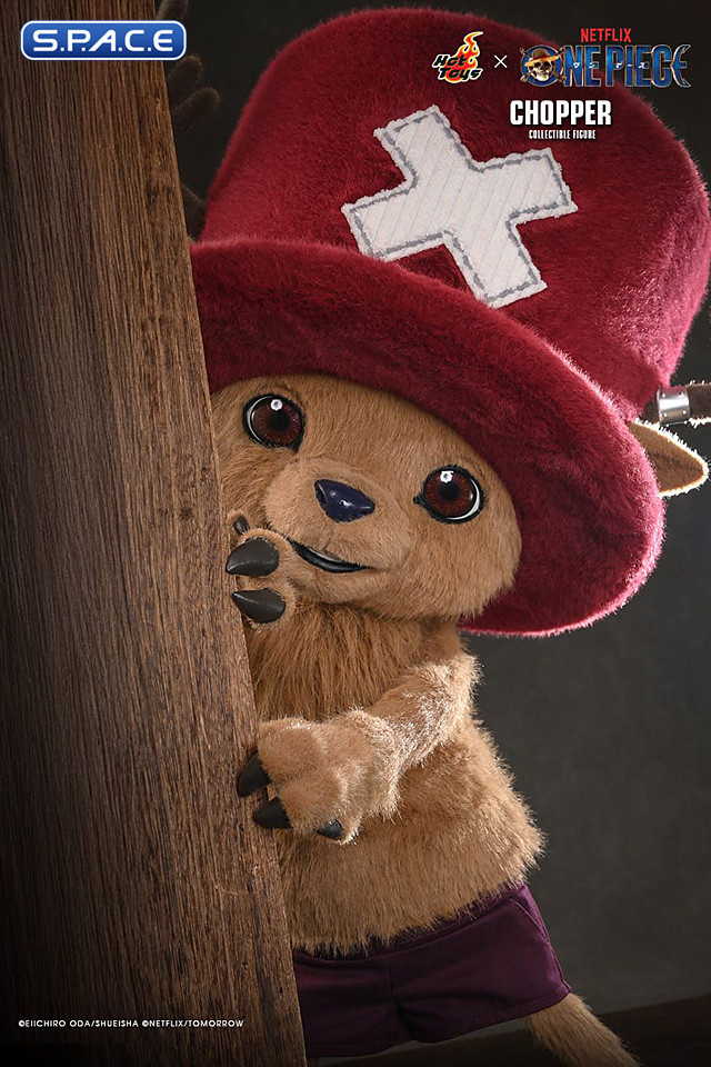 Chopper TV Masterpiece TMS174 (One Piece)